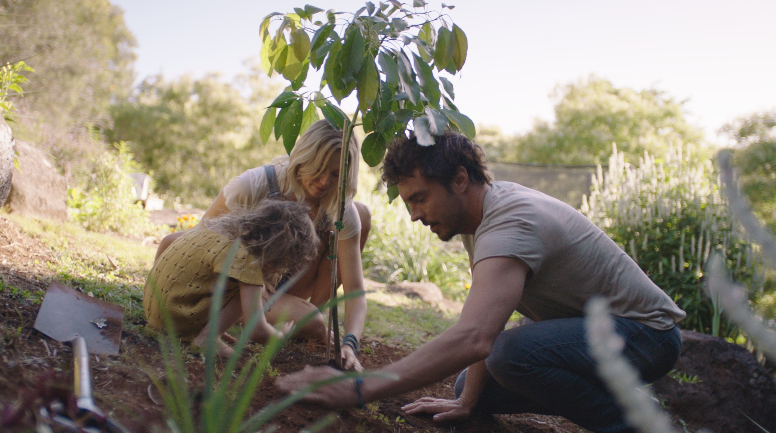 Zwei Erwachsene und ein Kind pflanzen einen kleinen Baum ein.