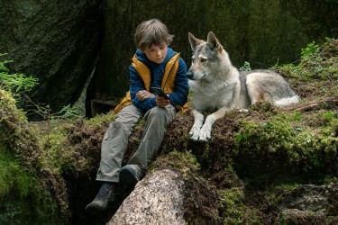 Bild aus dem Film Bruno bei den Wölfen