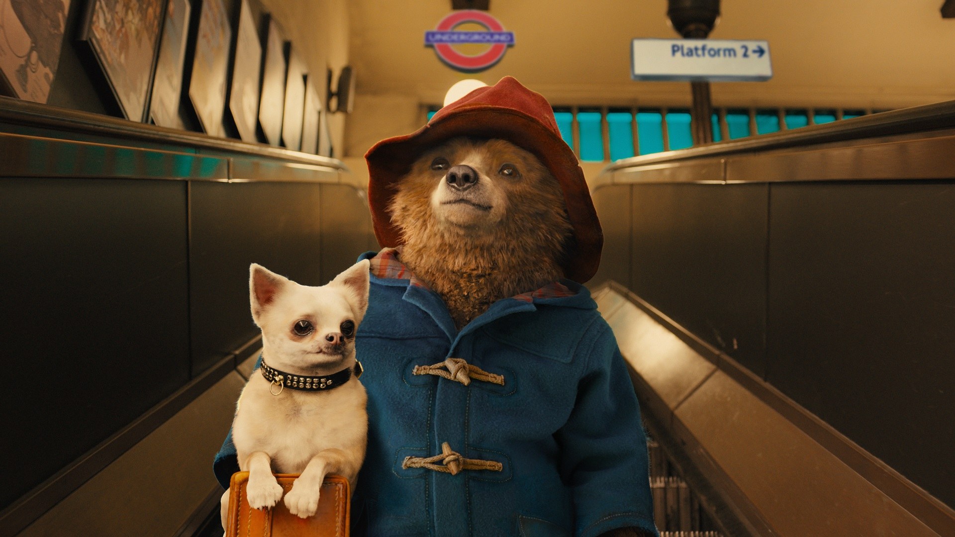 Ein Bild aus dem Film Paddington